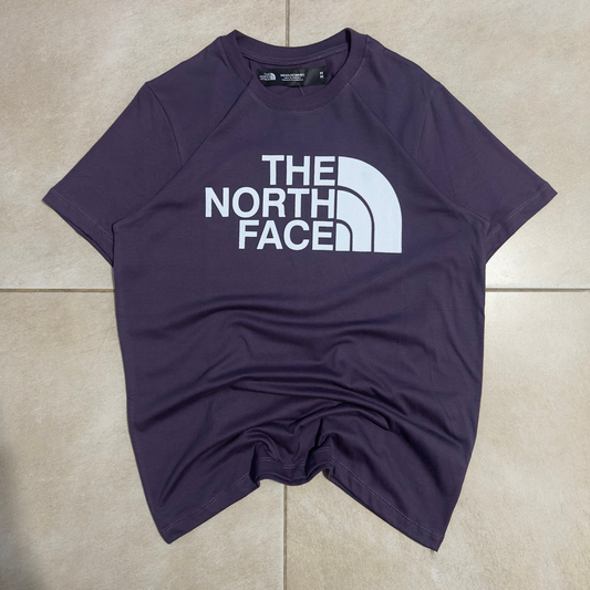 REMERA THE NORTH FACE